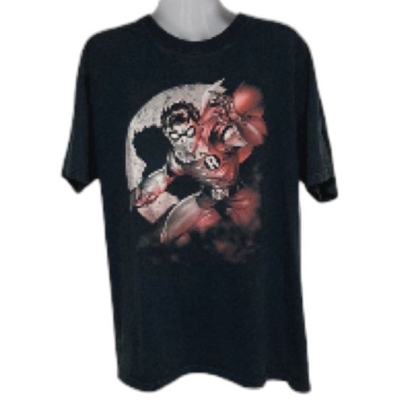 BATMAN Other - BATMAN ROBIN SPOTLIGHT Boys Youth Black Tshirt Size 14